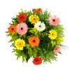 Bouquet de Gérberas