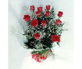 Bouquet de 12 rosas e Ggyps